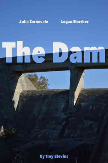 The Dam Poster