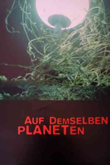 Auf demselben Planeten Poster