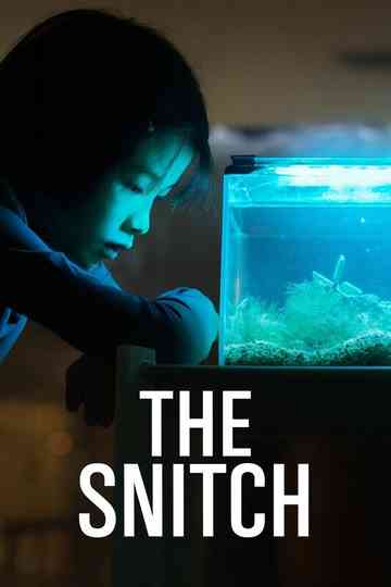 The Snitch Poster