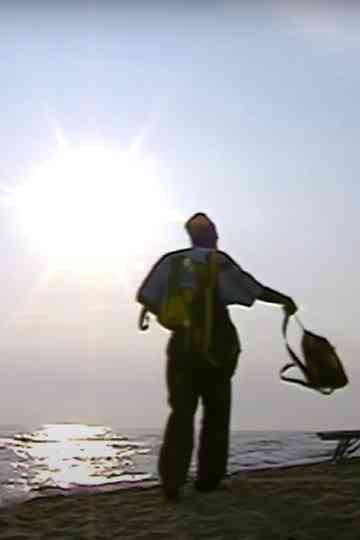 Il Divino, lo strillone e altri Poster