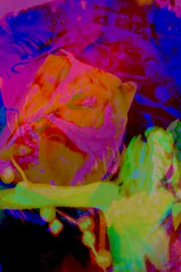 Hannah's Psycho-delic Adventure Poster