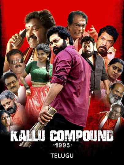 Kallu Compound 1995 Poster