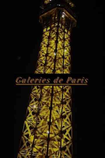 Galleries of Paris Poster