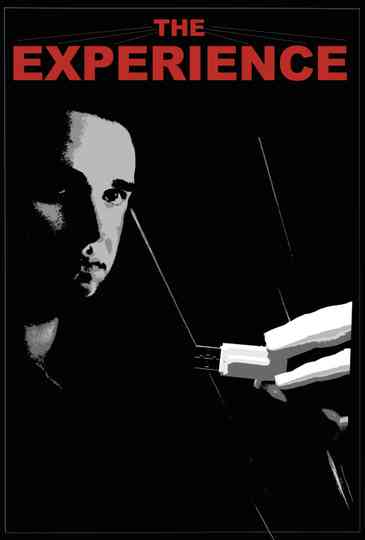 The Experience Poster