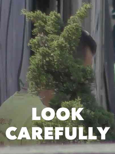 Look Carefully Poster