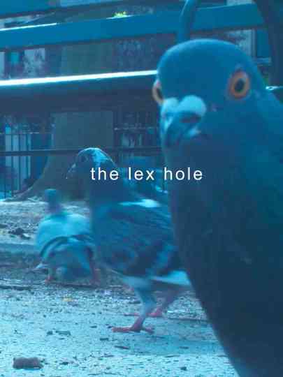 The Lex Hole Poster