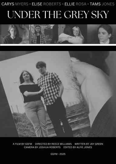 Under the Grey Sky Poster