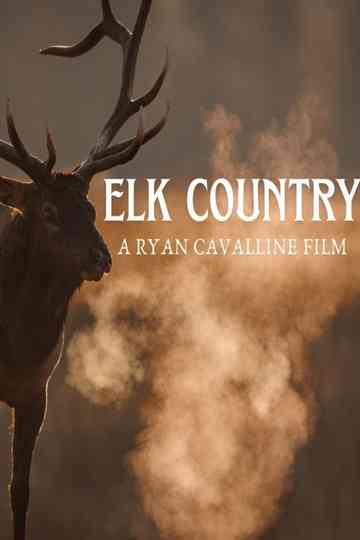Elk Country Poster