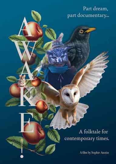 AWAKE! Poster
