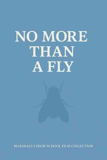 NO MORE THAN A FLY Poster