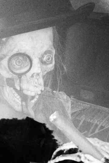 Selected shorts poster