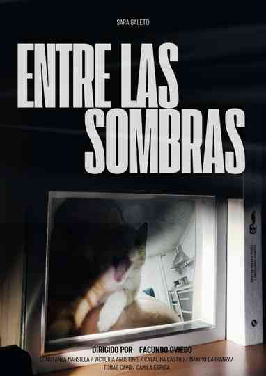 Entre las sombras Poster