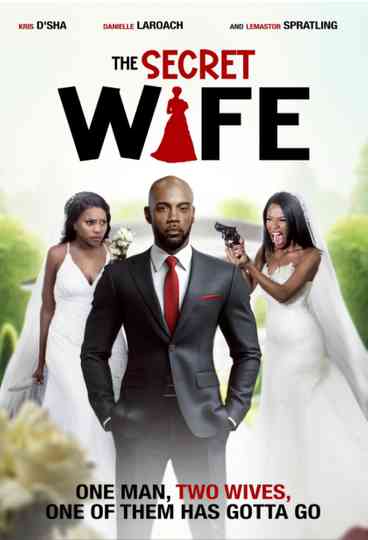 The Secret Wife Poster