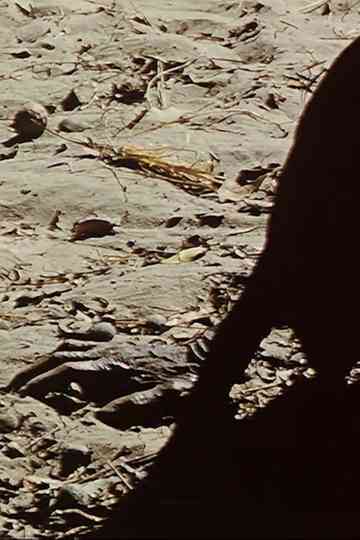 The Old Lady AKA A Human Document Poster