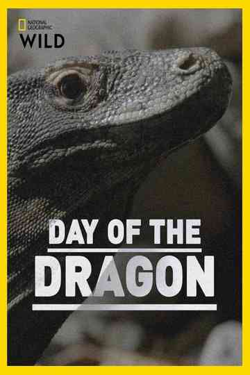Day of the Dragon Poster