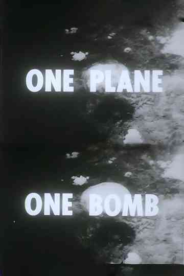 One Plane, One Bomb Poster