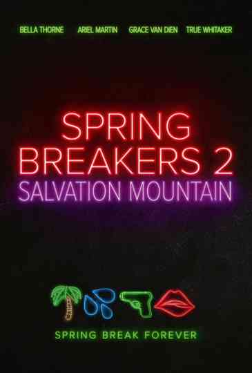 Spring Breakers: Salvation Mountain Poster