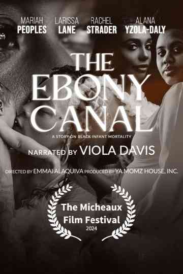 The Ebony Canal: A Story of Black Infant Mortality Poster