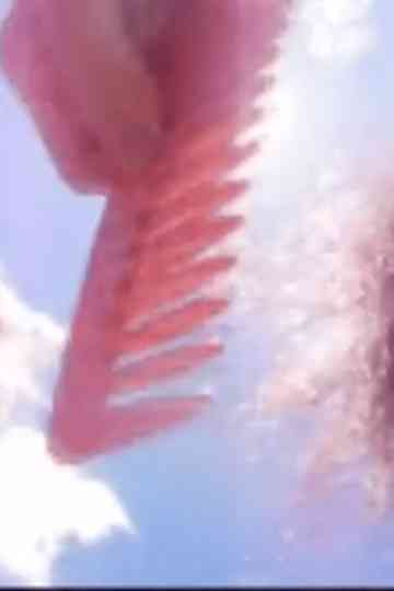 Frascos de perfume Poster