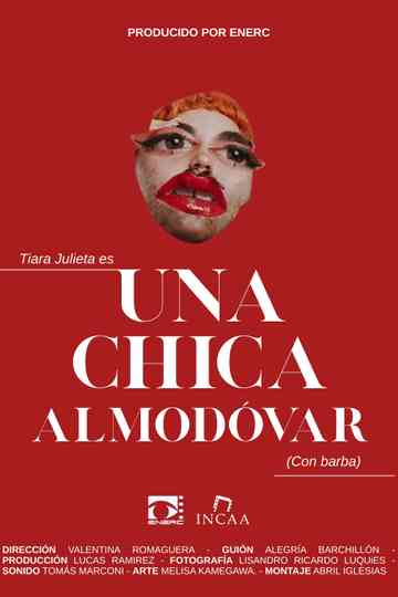 Una chica Almodóvar (con barba) Poster