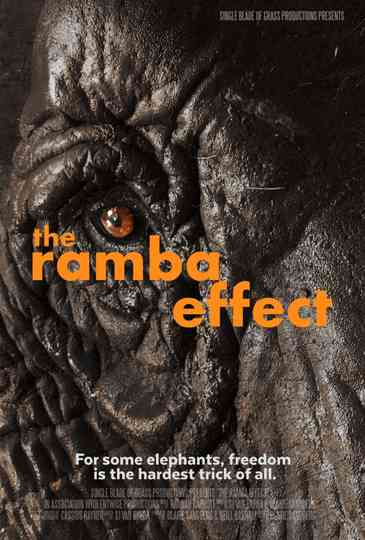 The Ramba Effect Poster