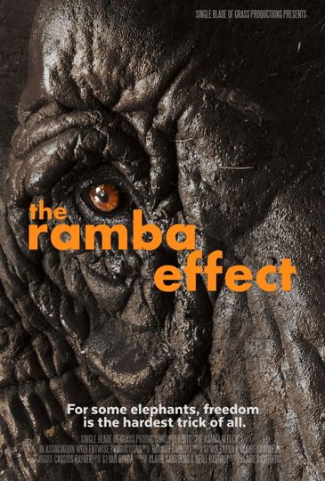 The Ramba Effect