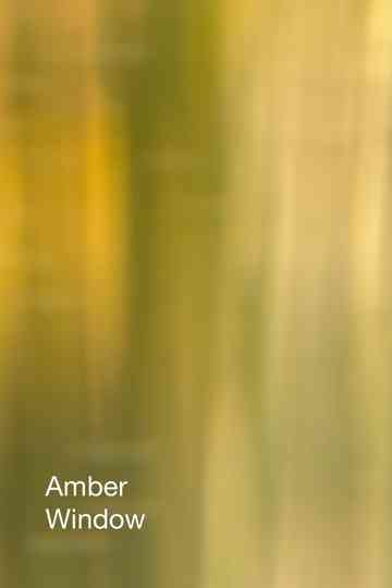 Amber Window Poster