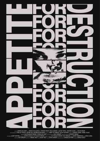 Appetite for Destruction Poster