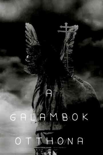 Home of Pigeons Poster