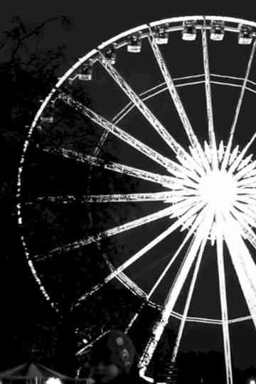 Common Ground Poster