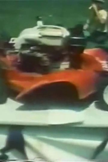 Torro. Torro. Torro!