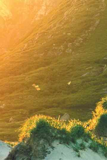 El Sueño de una cosa Poster