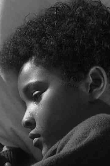 Dear Daughter Poster