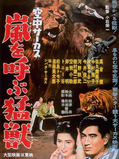 Midair Circus Poster