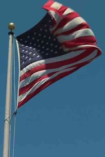 United States Wins the World Cup Poster