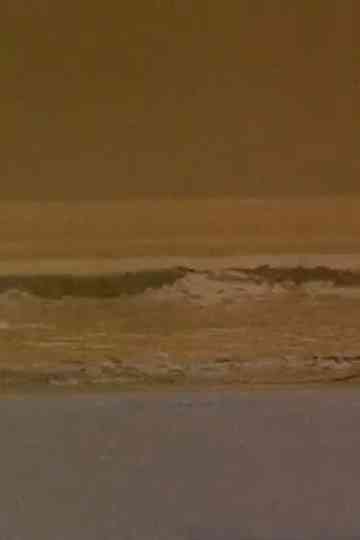 Skeleton Dance poster