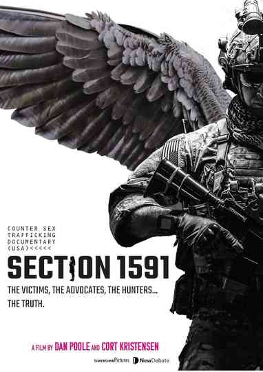 Section 1591 Poster