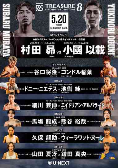 TREASURE BOXING 8 Poster