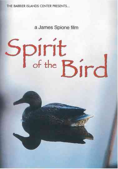 Spirit of the Bird Poster