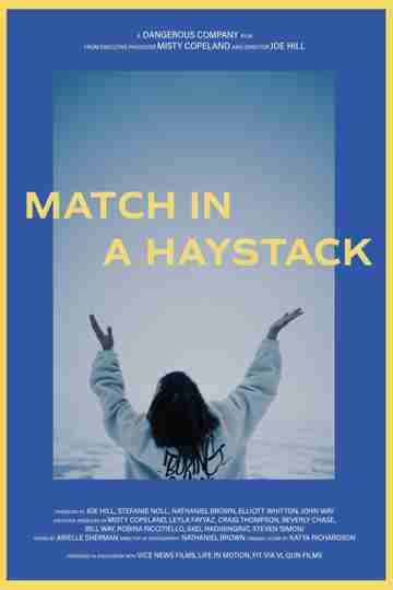 Match In A Haystack Poster