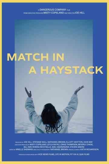 Match in a Haystack Poster