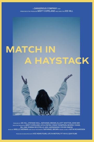 Match in a Haystack