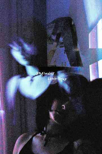 Endless labyrinths Poster