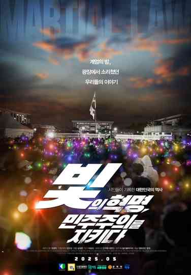 The Revolution of Light, Defending Democracy Poster