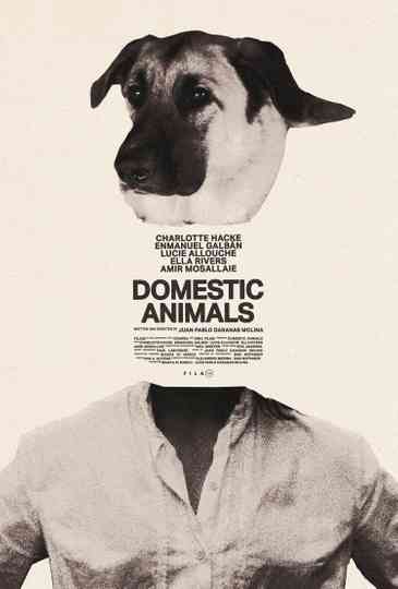 Domestic Animals Poster