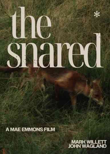 The Snared Poster