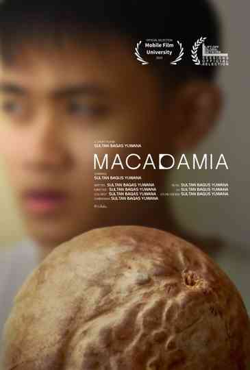 Macadamia Poster