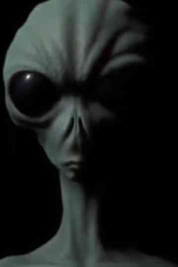 UFOs: A Demonic Deception Poster