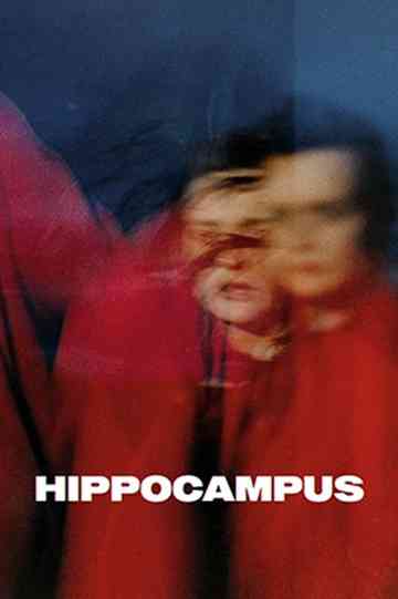 Hippocampus Poster