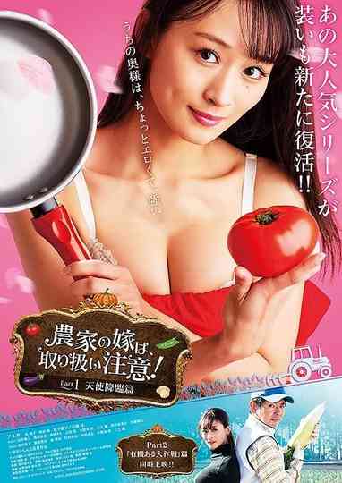 Farmer’s Wife: Handle with Care! Part 1: Angel Advent Poster